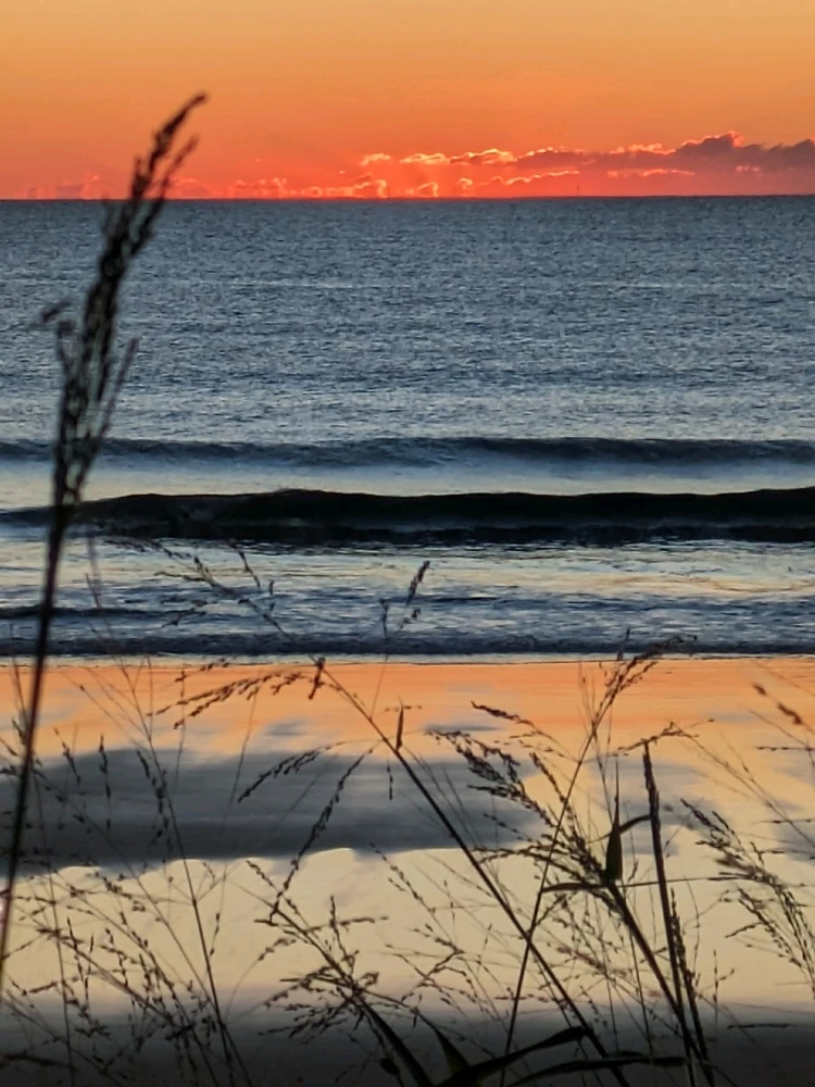 Love morning walks!