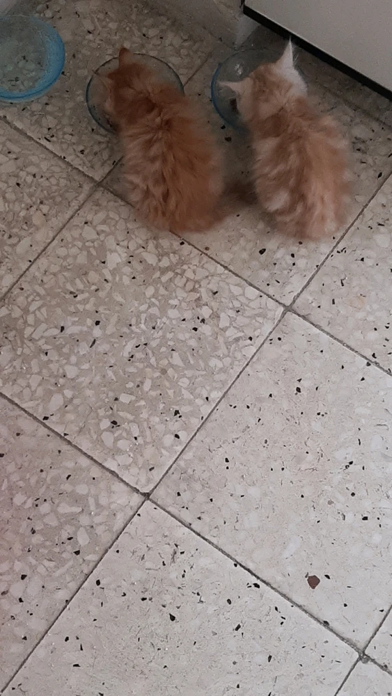 Berk tarafından yüklenen görsel