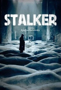 Stalker is a movie about mystery, fear of collapse as well as looking for a deep meaning of the universe and desires.