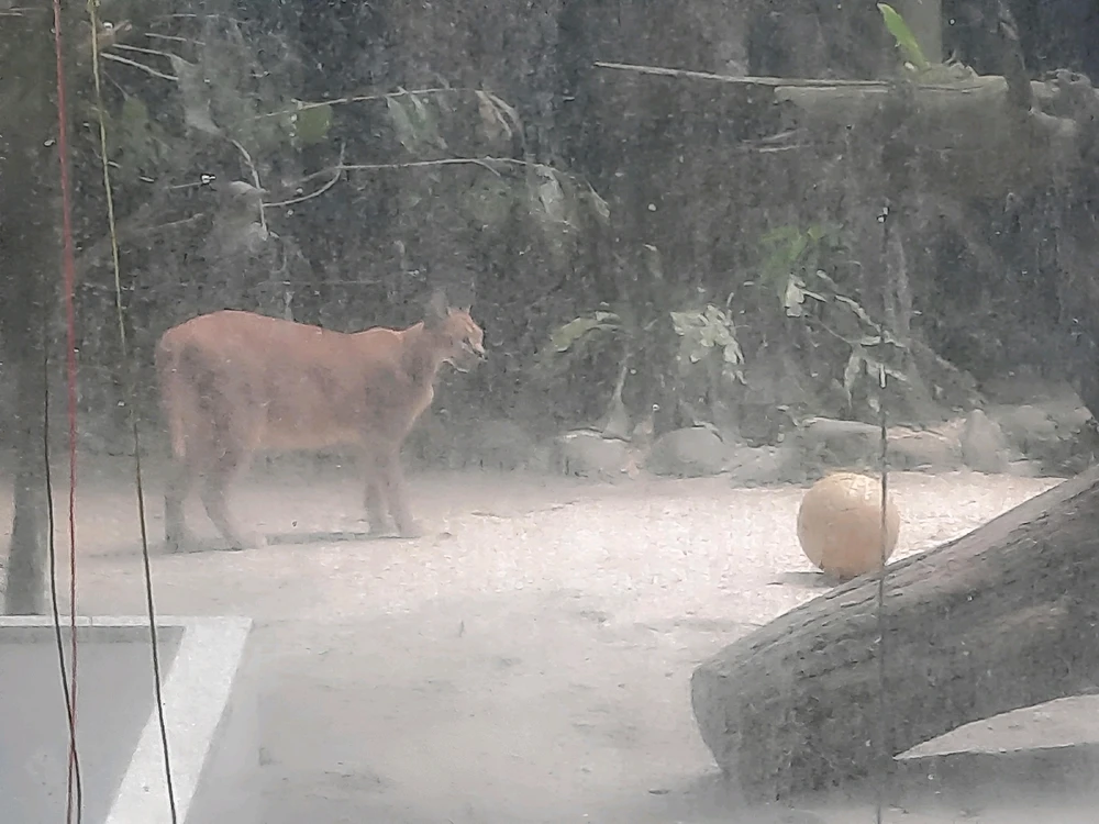 Image uploaded by Edo