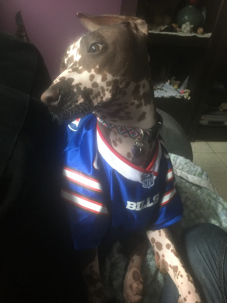 Imagen subida por Eduardo Casanova