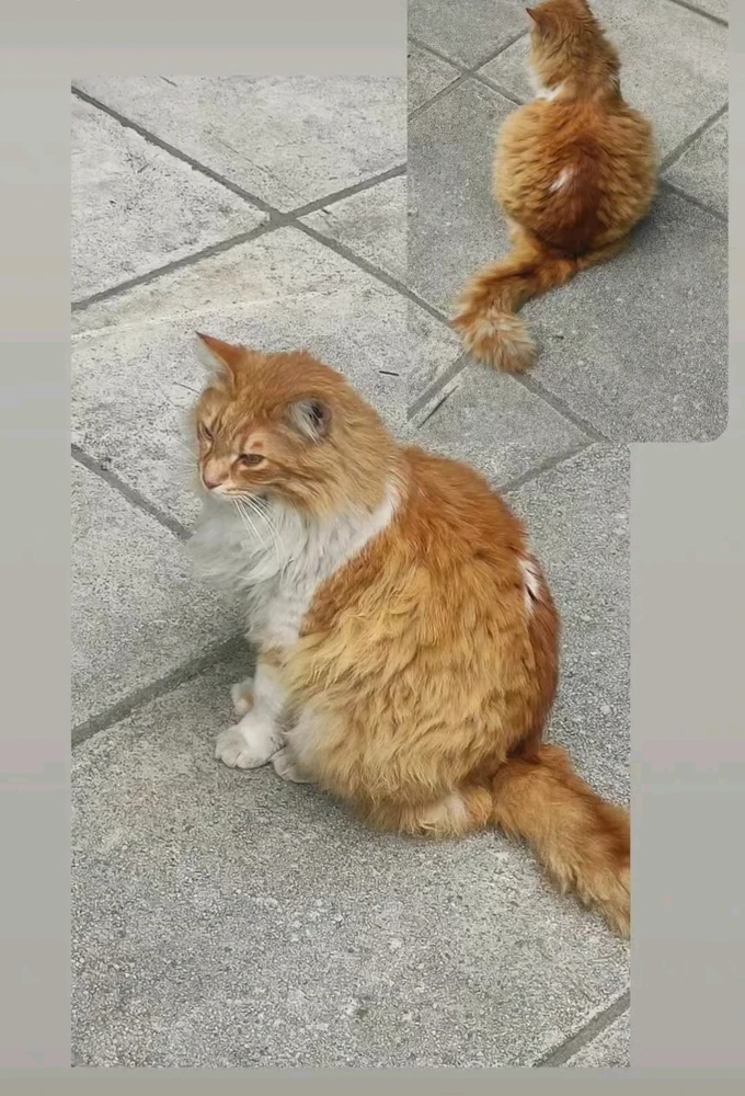 Εικόνα από Alex