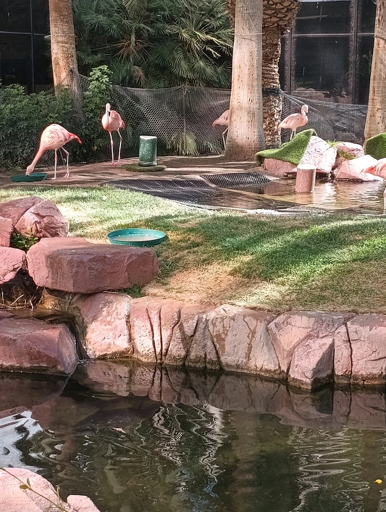 Gi-upload ni James ang hulagway