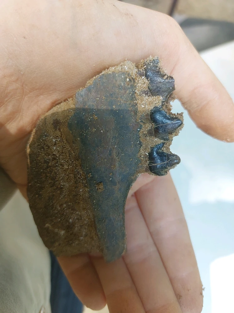 Image ajoutée par Audrey