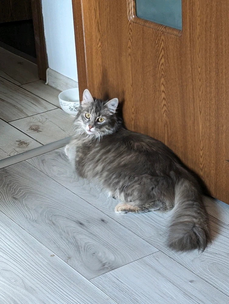 Imagine încărcată de Cristinel