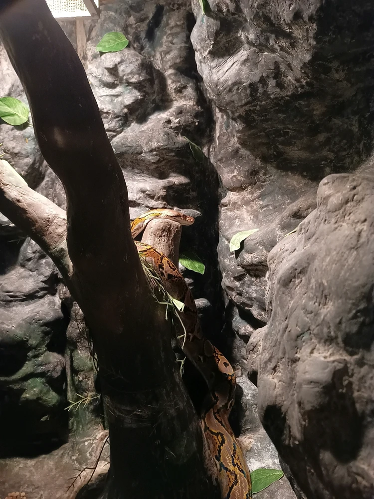 Imagen subida por Pako