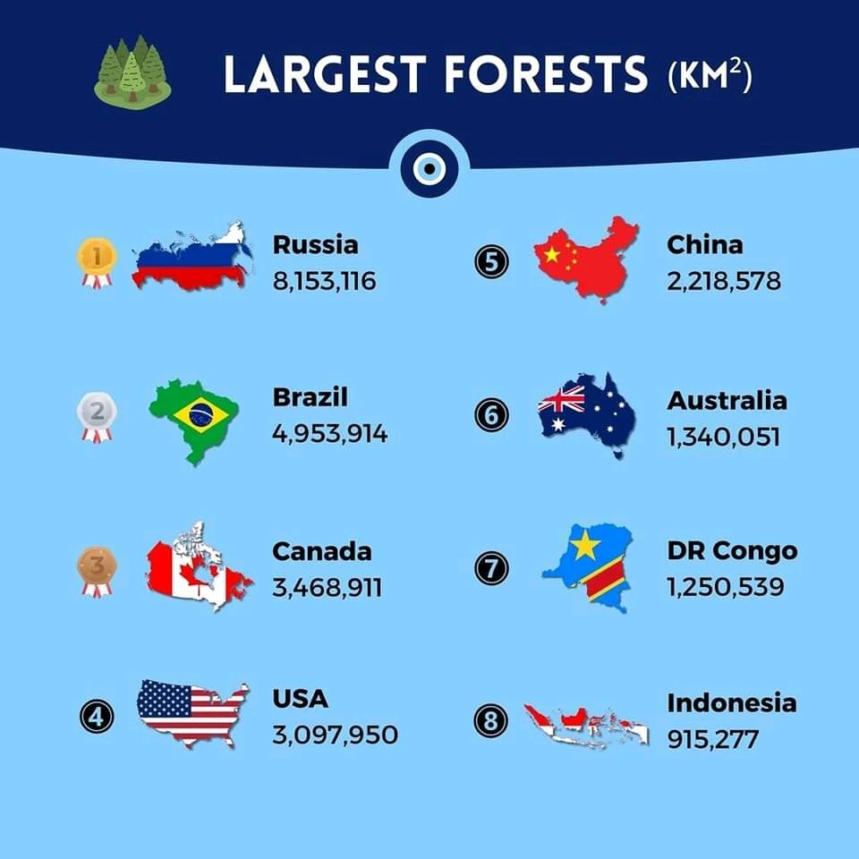 Imagine încărcată de Alin