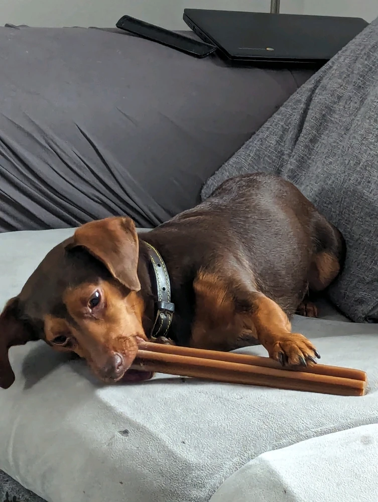 Image uploaded by Julia