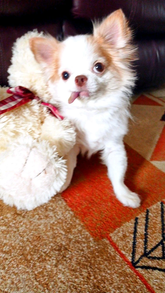 Фото загрузил Yuli