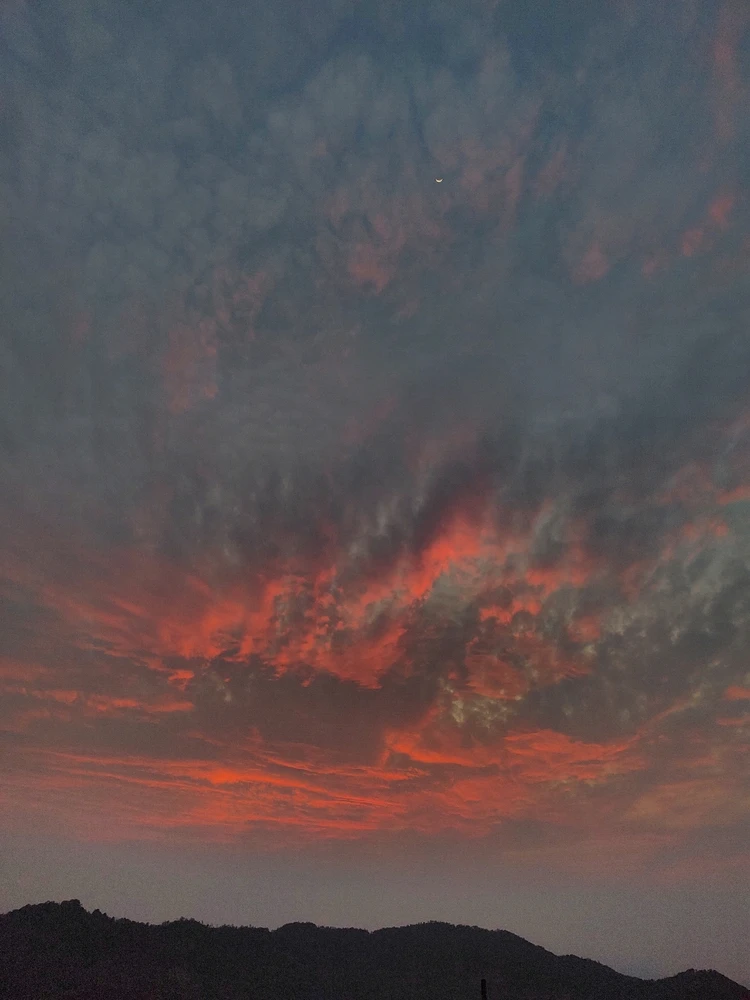 Ederがアップロードした画像