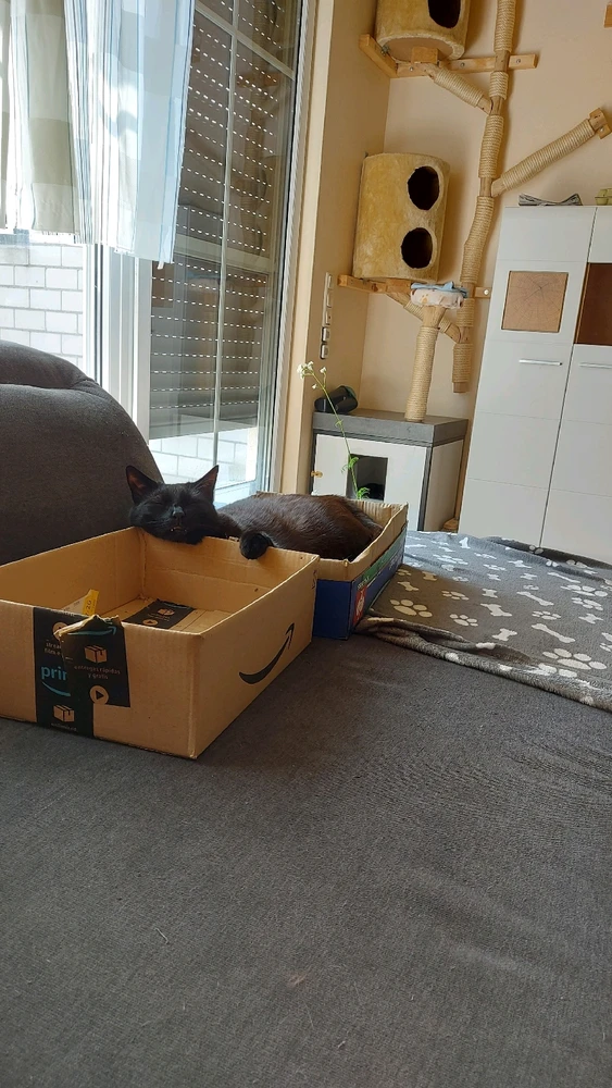 Bild hochgeladen von Alex