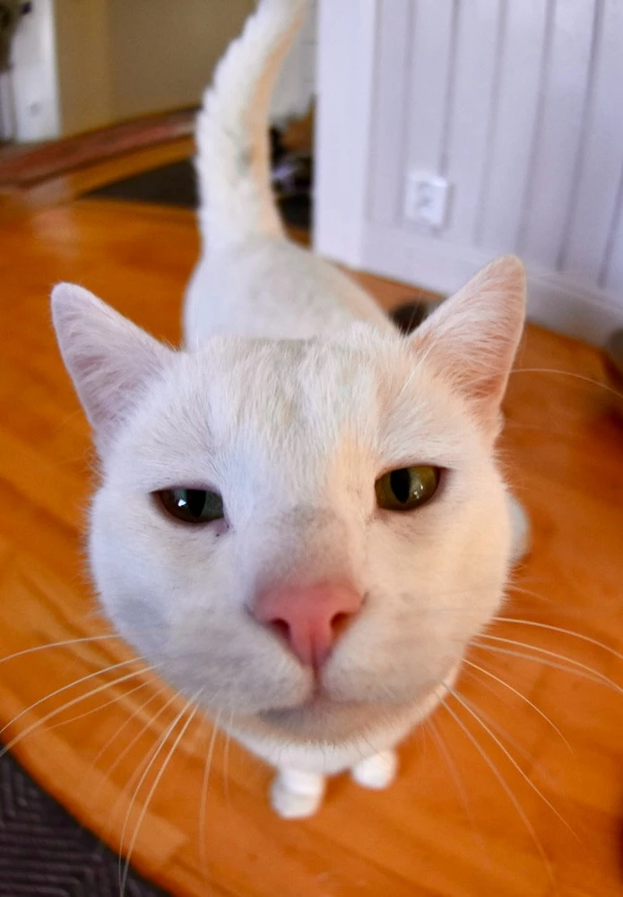 Bild uppladdad av Magnus