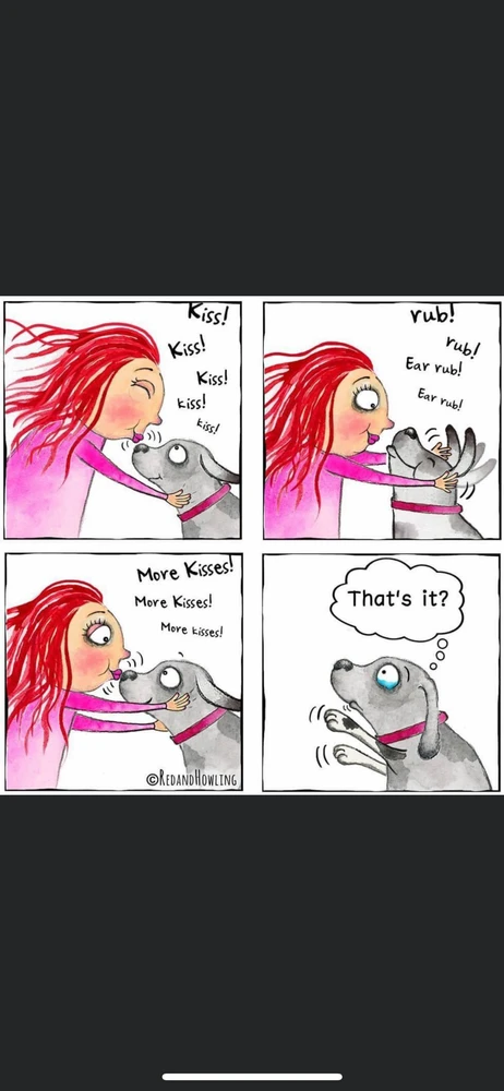 Bild hochgeladen von Melly