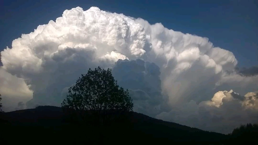 Image ajoutée par Johan