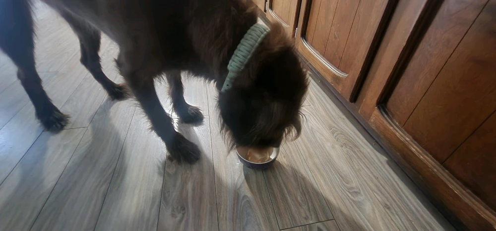 由Rylee Remsberg上传的图片