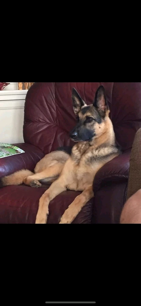 Image uploaded by Scott