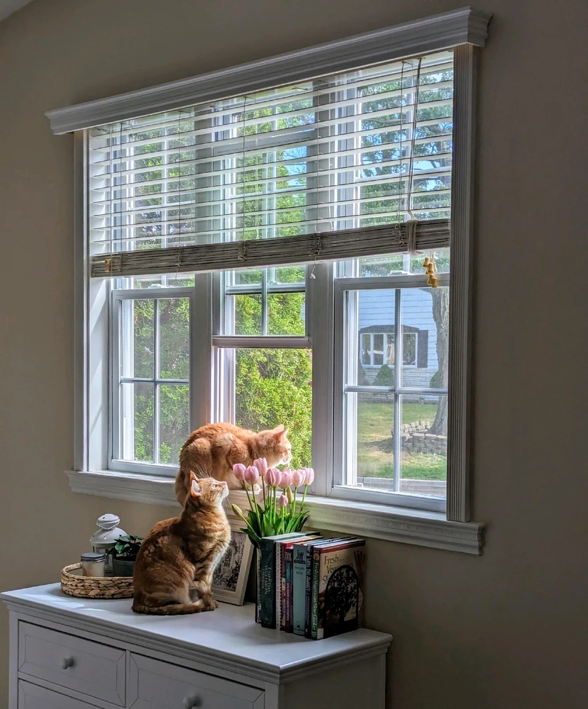 Image uploaded by Melissa