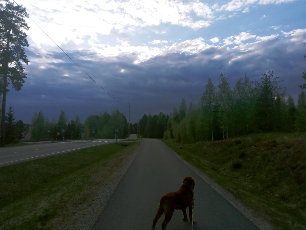 Image uploaded by Aleks