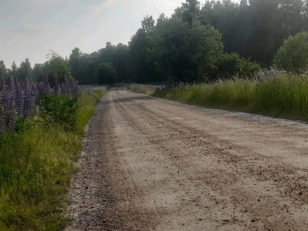 Zdjęcie dodane przez Gosia, Gośka, Małgorzata 😁