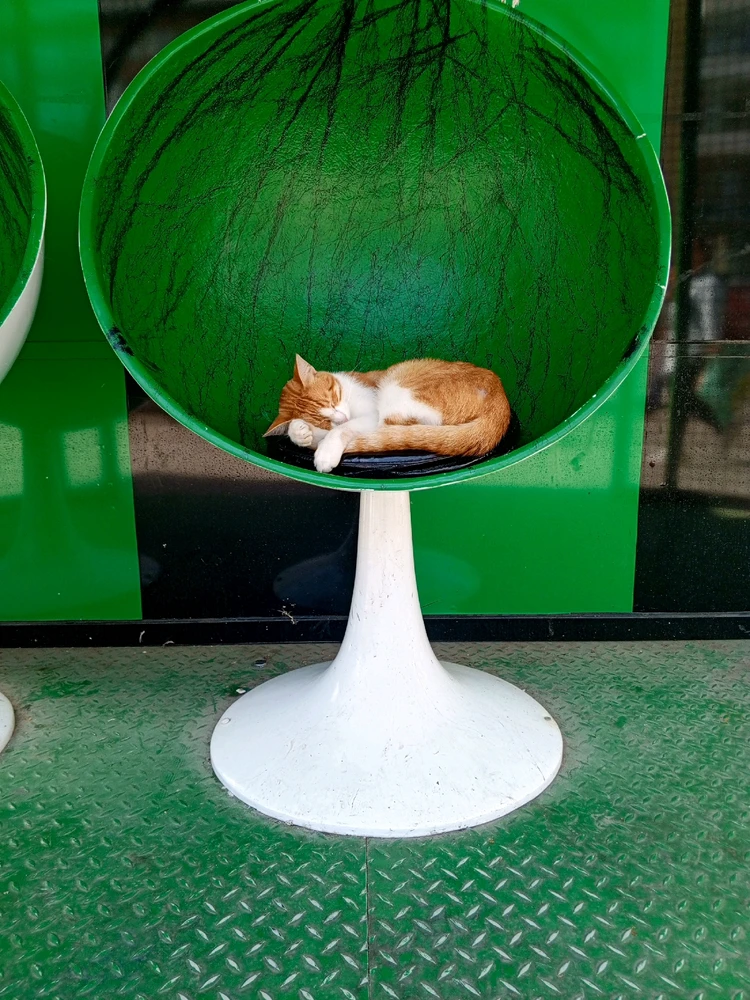 Suat tarafından yüklenen görsel