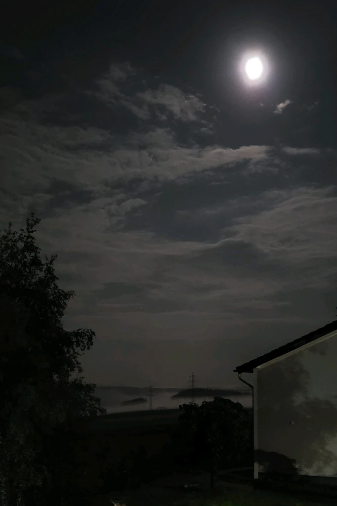 Image uploaded by Erik