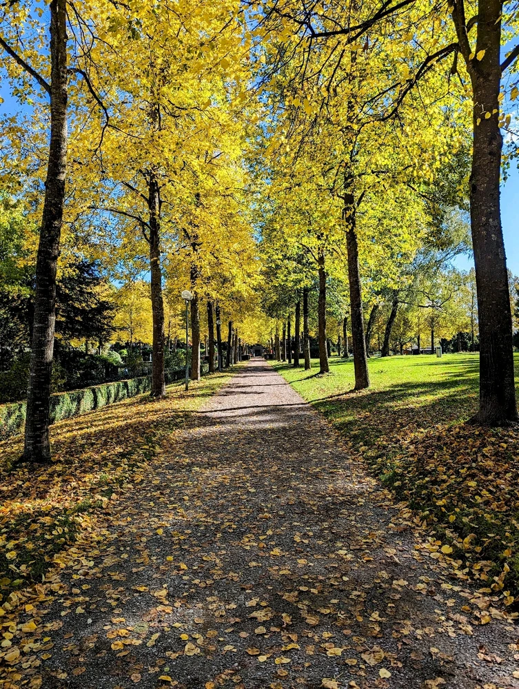 Image uploaded by Matt