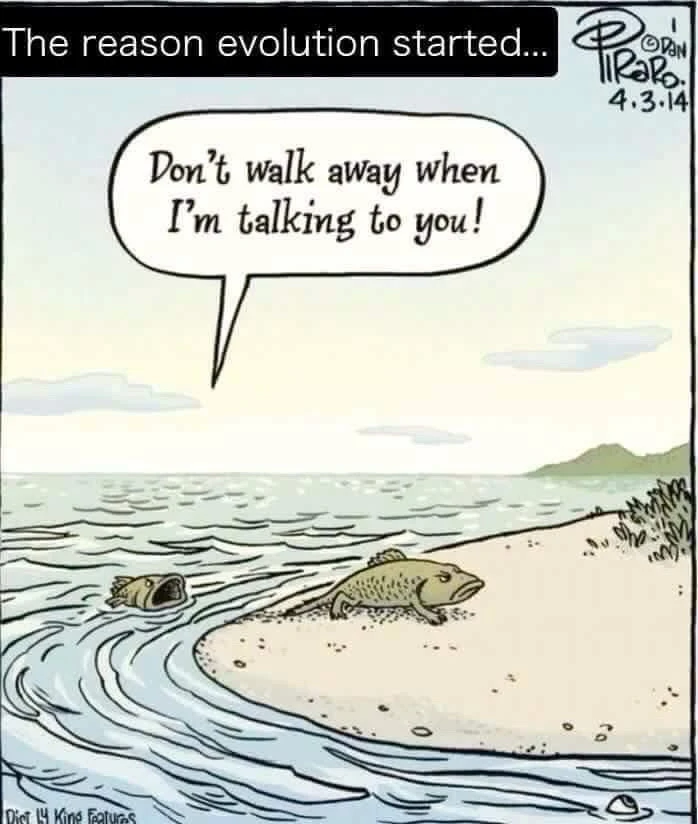 Image ajoutée par Chèhine