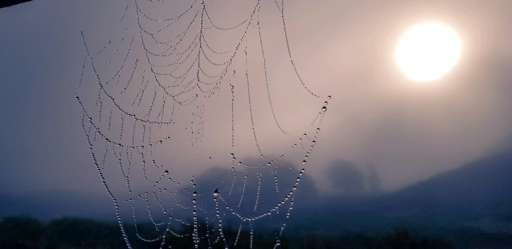 Image uploaded by Jay.jay