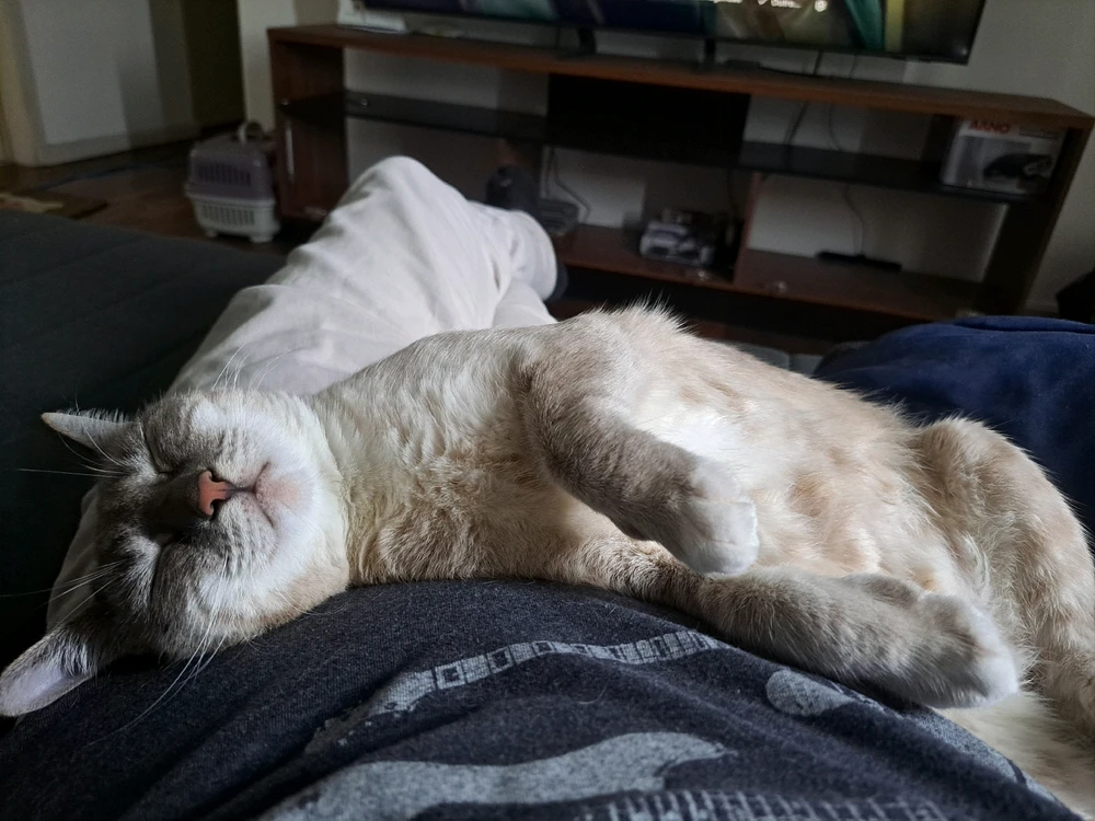 Imagem enviada por Gabriel