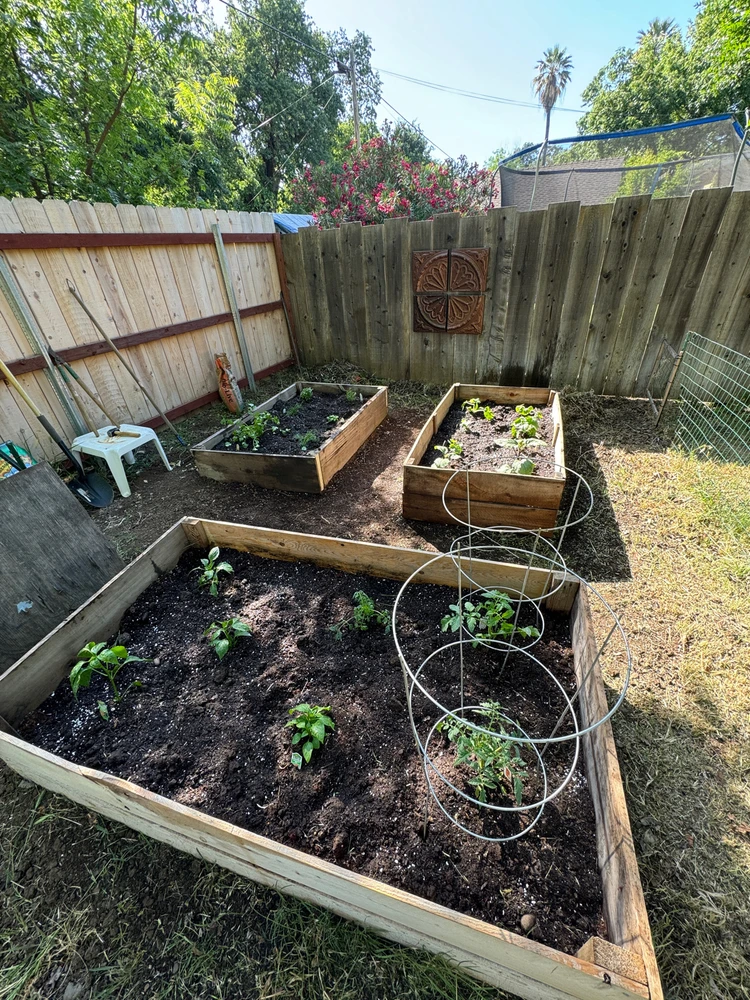 Image uploaded by Anthony