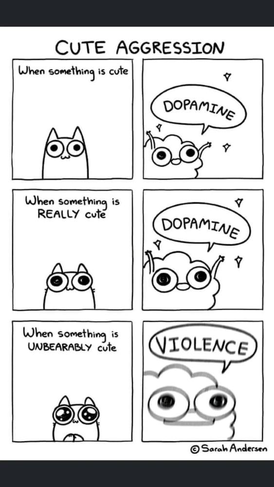 Bild hochgeladen von Marie