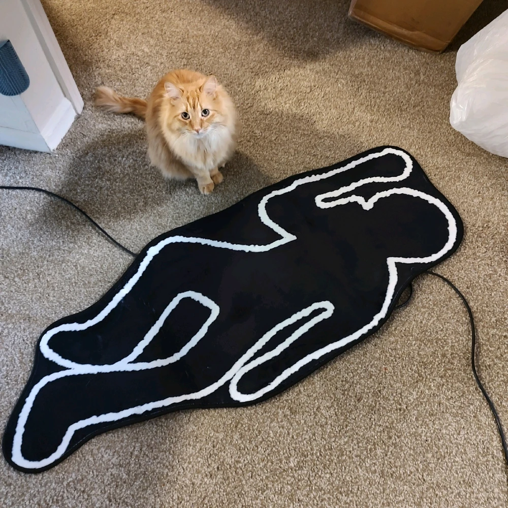 Image uploaded by Amy