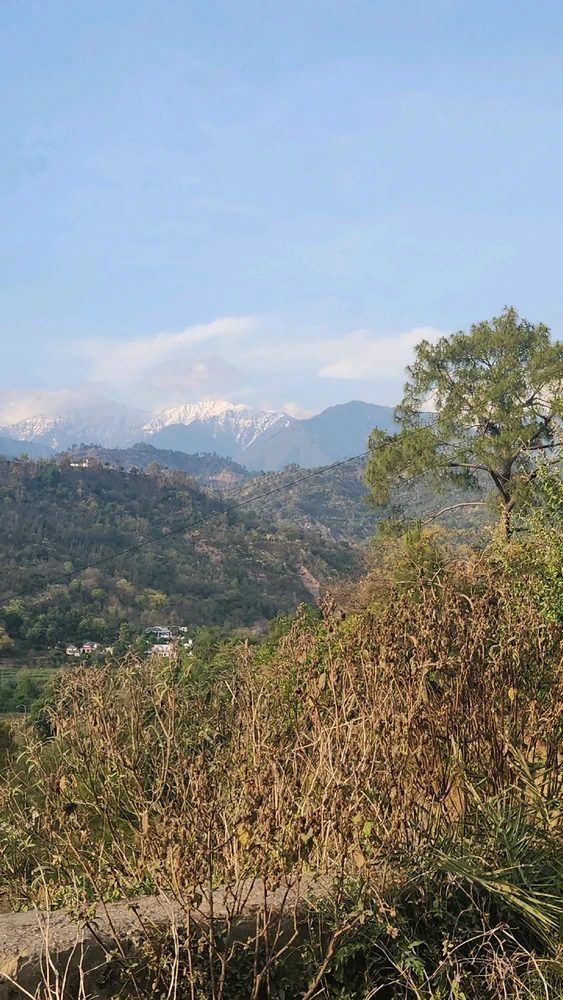 Image uploaded by Archit