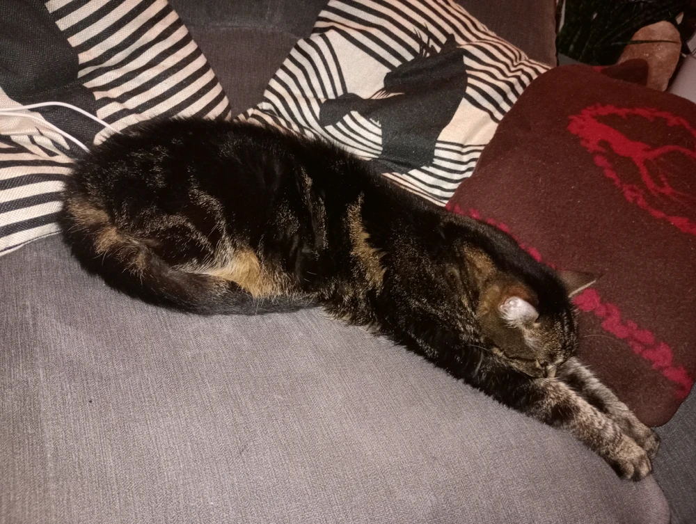 Bild hochgeladen von Sharon