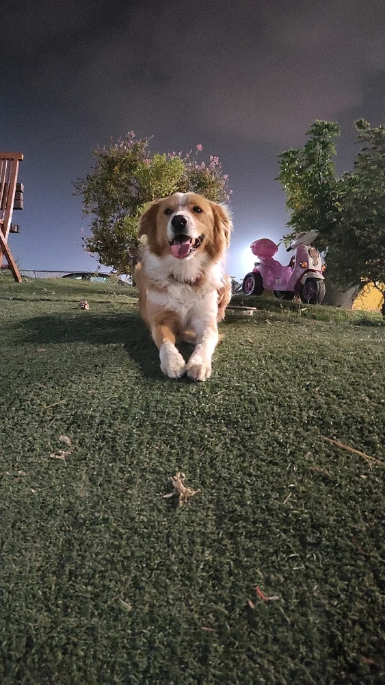 Εικόνα από Stra