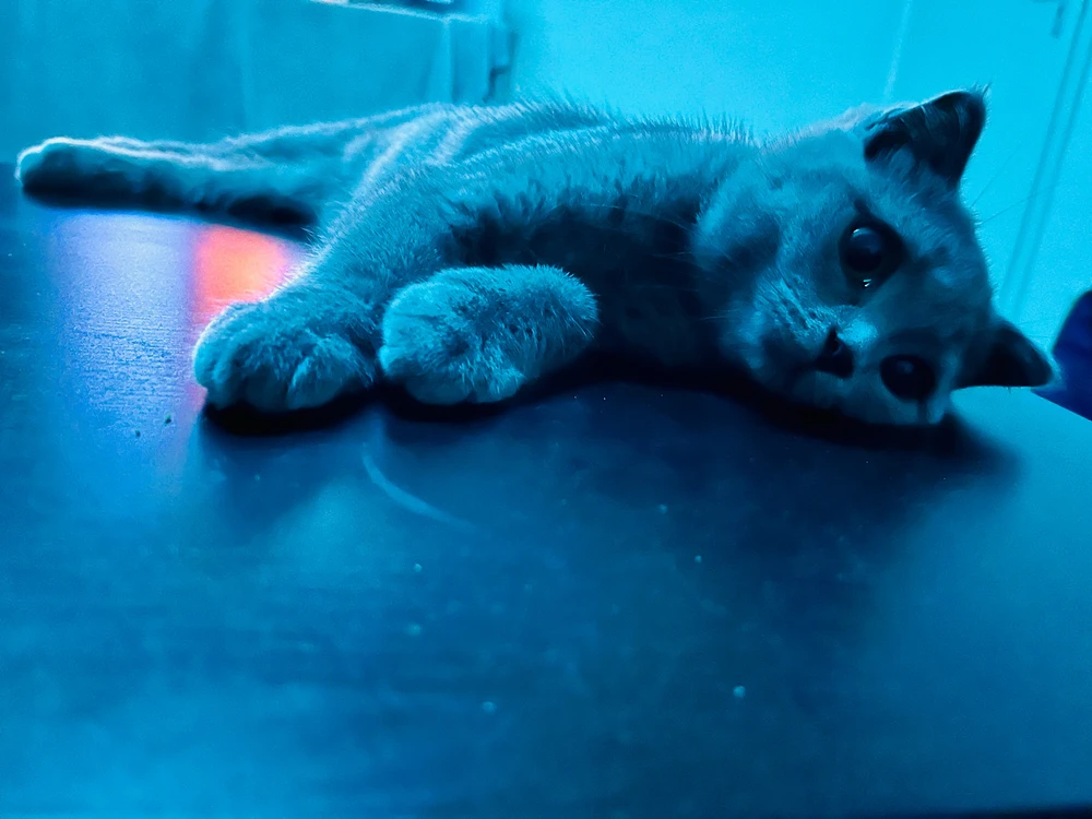 Bild hochgeladen von Stephan