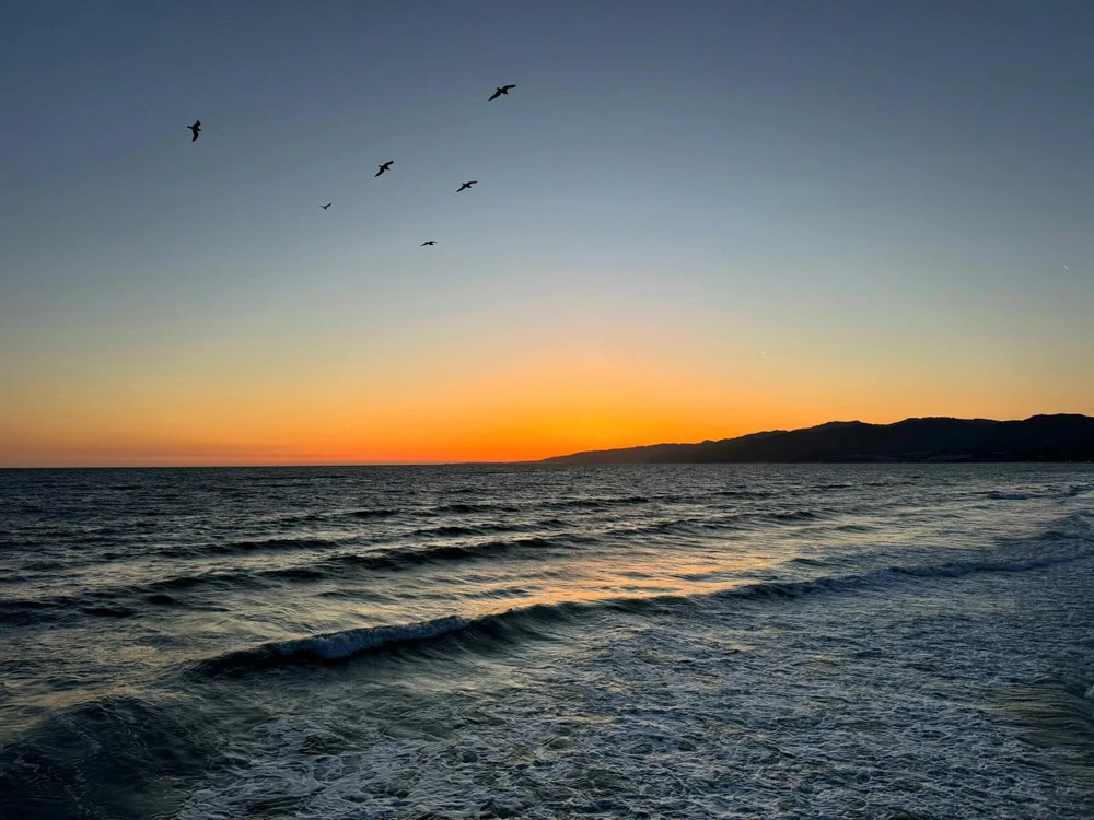 Image uploaded by Seangoog