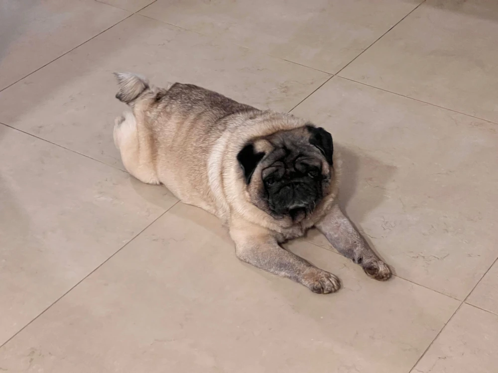 Imagem enviada por Pedro