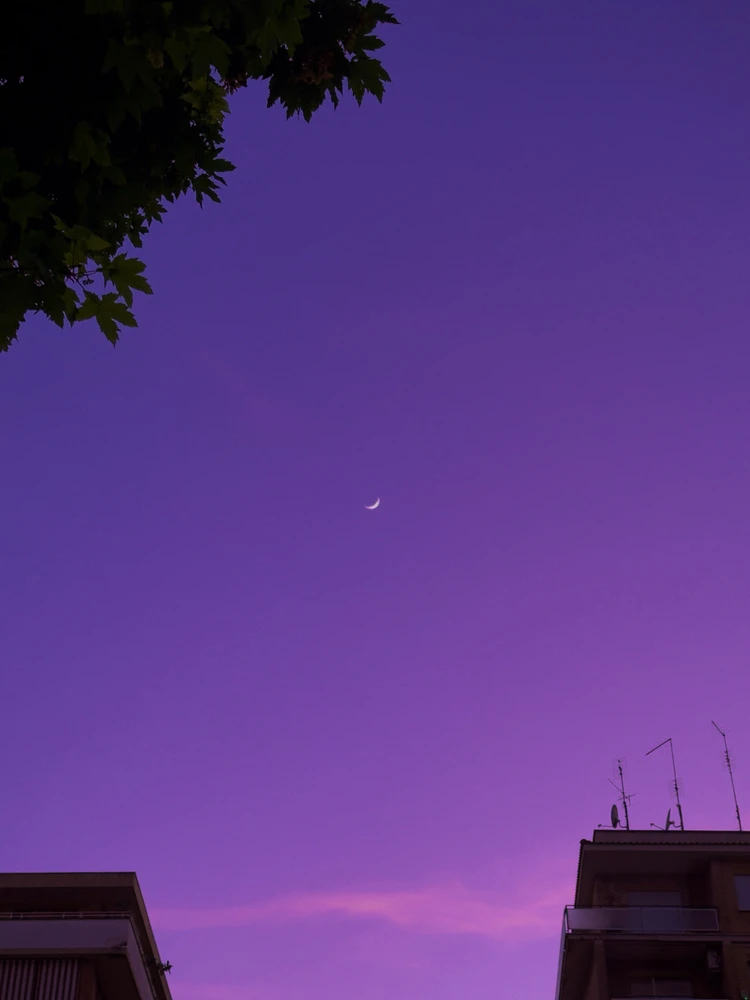 Immagine caricata da Hasala malshan