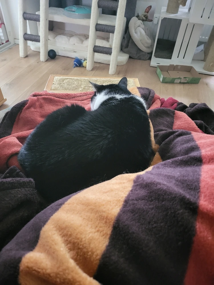 Bild hochgeladen von Bibi