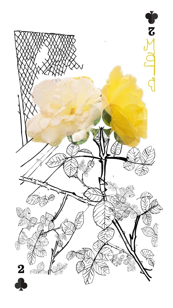 Immagine caricata da Matteo