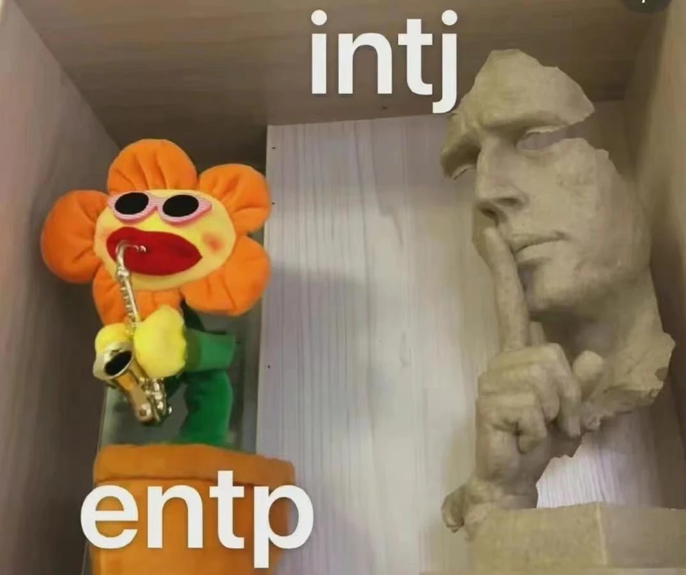 由Vein上传的图片