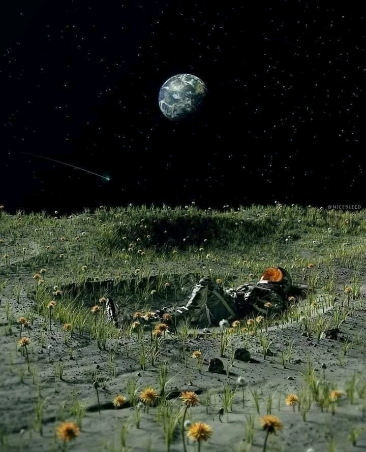 İlqar tərəfindən yüklənən şəkil