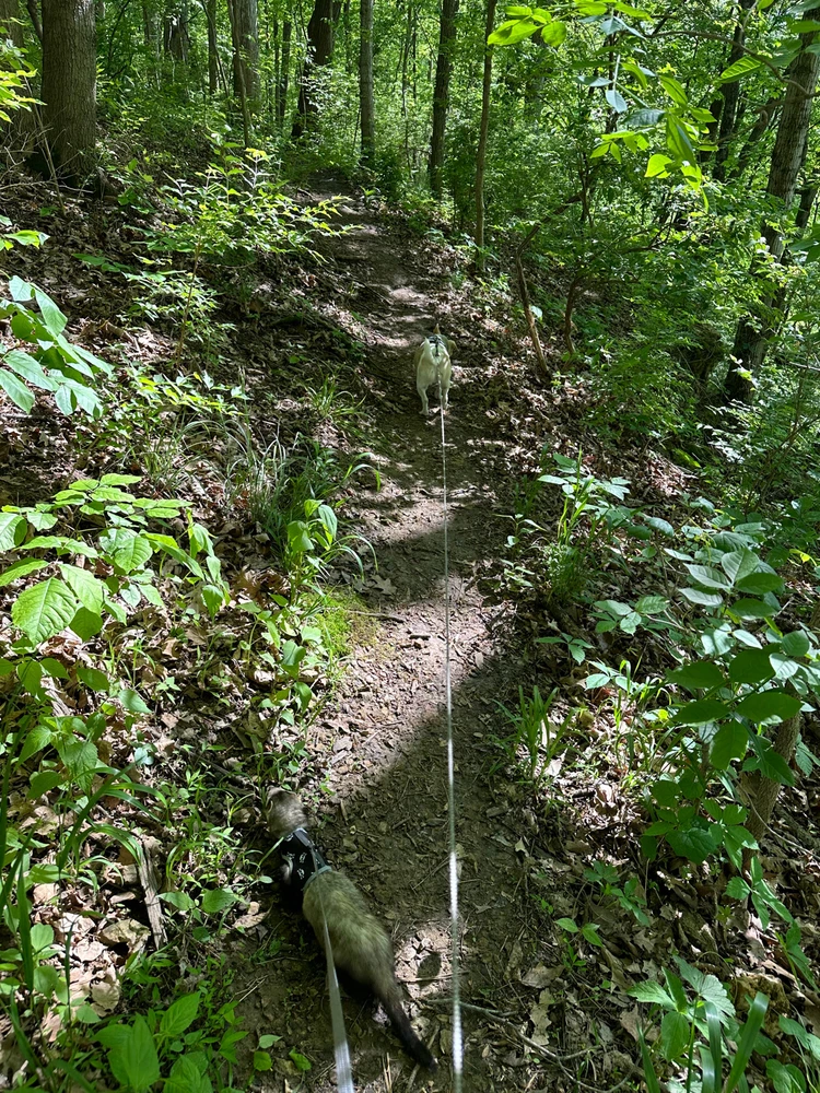 Image uploaded by Conner