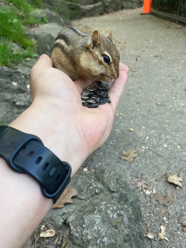Image uploaded by Andrew McDonald