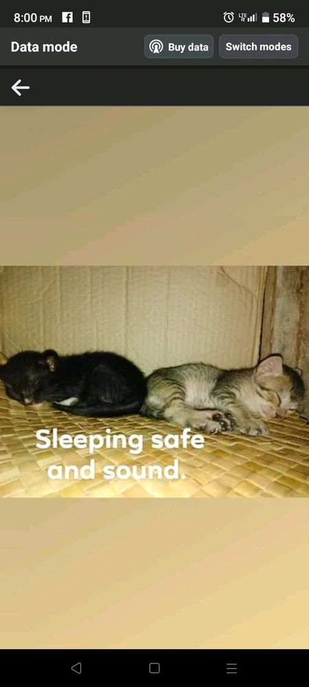 Image uploaded by Marvie