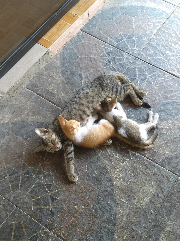 Image uploaded by Bea