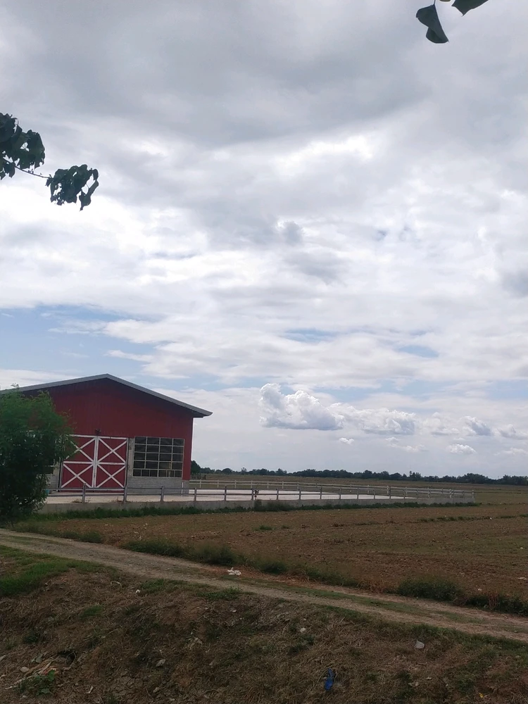 Image uploaded by Xhantal Amurao