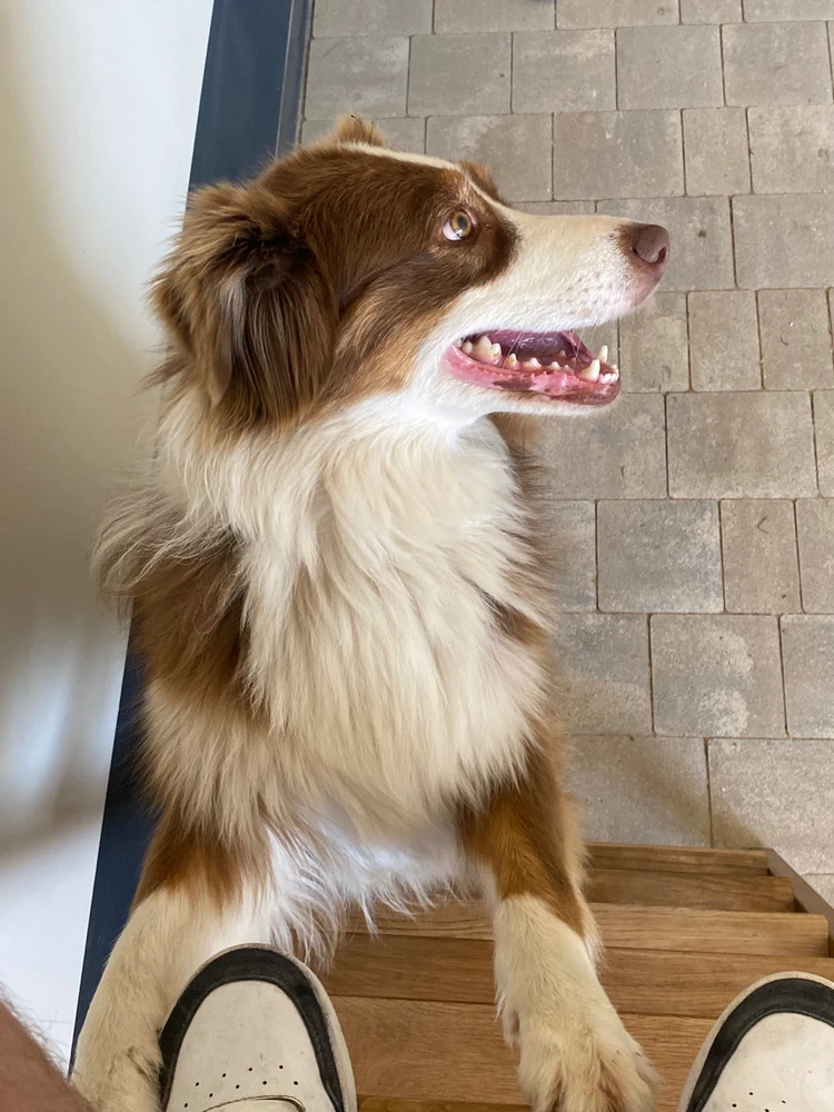 Zdjęcie dodane przez Dominik