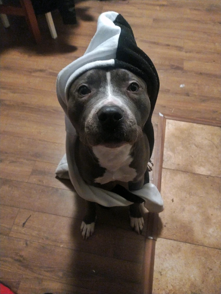 Obrázek nahrál Dway